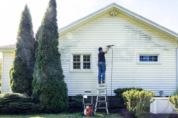 Best Dumpster Area Cleaning  in Mccullom Lake, IL
